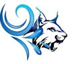 Wildcat Cleaning Pressure Washing