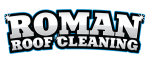 Roman Roof Cleaning